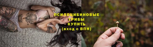 прущие грибы Беломорск