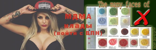 прущие грибы Беломорск