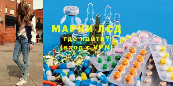 прущие грибы Беломорск