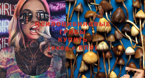 марки nbome Белокуриха
