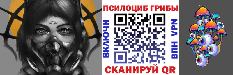 Псилоцибиновые грибы мухоморы  купить закладку  Высоковск 