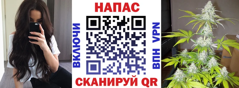 Марихуана OG Kush  цены   Высоковск 